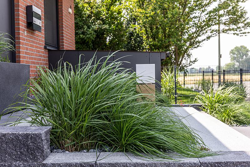 Vorgarten mit grünen Ziergräsern, kleinen roten Blumen, grauem Kies und moderner quadratischer Gartenleuchte aus Metall