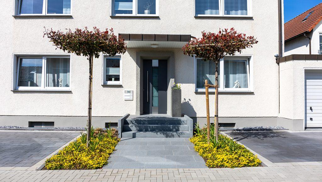 Eingangsbereich eines Hauses mit zwei kleinen Bäumen und gelben Bodendeckern an beiden Seiten eines grauen gepflasterten Weges