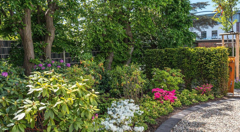 Rebein_Artikelbilder_Gartenpflege_Beet_pflege Rebein_Artikelbilder_Gartenpflege_Beet_pflege